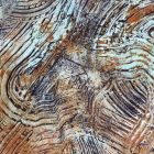 CORROSIA LATTEN - 1 KG